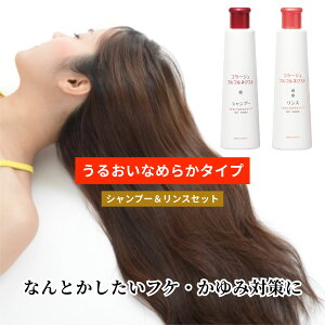 R[W ttlNXgVv[X Zbg 邨Ȃ߂炩 200ml