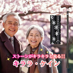  XebL  LPC   ~L Lk A~  j  y y Lk LEPC A~ SG}[N  Y X v[g 蕨 pi 