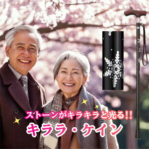  XebL  LPC ᕿ  ~L Lk A~  j  y y Lk LEPC A~ SG}[N  Y X v[g 蕨 pi 