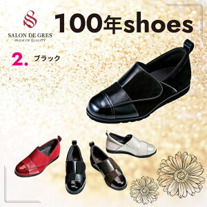ThO[ SALON DE GRES 100NV[Y ubN L SL9107  i ㎿ E _炩 A[`NbV yӂ܂ SL9107 ThO[100NV[Y