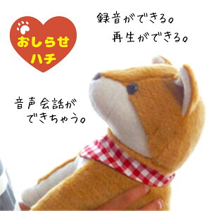 点n` R~jP[V{bg Qnd@ Yꕨh~^C}[ ^ Đ b ^@\ Đ@\ b@\ ˂^ ˂ L lR  v[g 蕨 hV̓ MC-R