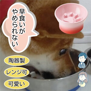 t[h{E  ybg Hh~ TAMAKI AyeB t[h {E H   h~ M @؂ aM GTM p a v[g ی^ ~` H 퐻 p ѓ 