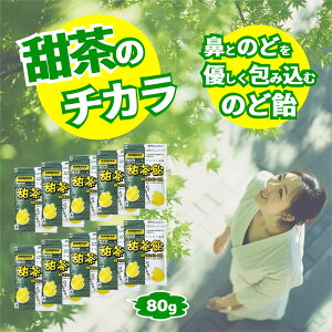 [ ̂ǈ  80g×10 h{@\Hi ܎t  ̂ǂ yV @ ̂ǂ ^Cv [GLX g[z pe`_ rI` ki  LfB L