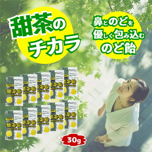 [ ̂ǈ 30g×10 gтɕ֗ pE`^Cv h{@\Hi ܎t gїp pE`  ̂ǂ yV @ ̂ǂ ^Cv [GLX g[z pe`_ rI`