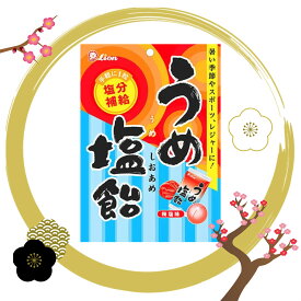 ライオン うめ塩飴 73g 梅 塩 キャンディ 熱中症対策 塩分補給 個包装 国産梅 クエン酸 夏対策 暑さ対策 スポーツ 屋外作業 子供 高齢者 おやつ 携帯便利 さっぱり味 大容量 業務用にもおすすめ