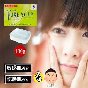 XYP sA[\[v i100gj x΂ XYP