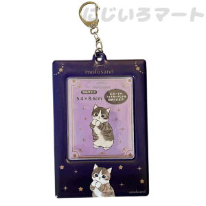 ���t�T���h �N���A �J�[�h�P�[�X �l�C�r�[ �`�F�L �ʐ^ �t�H�g 4513750157444blue �˂� �l�R �J�[�h ���q ���̎q �������� ���� �O�b�Y �o�b�O ���΂� �J�o�� ������� �l�C �������� �p�X�P�[�X �u
