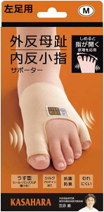 At@bNX O w T|[^[ { ^ R hL ɂ MTCY T|[g 