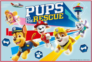 スケーター レジャーシート Sサイズ 60×90cm パウ・パトロール 23 4973307613623 敷物 犬 男の子 ピクニック アウトドア スリム 小さめ 1人分 軽量 コンパクト おすすめ かっこいい 男児 子供 キッズ