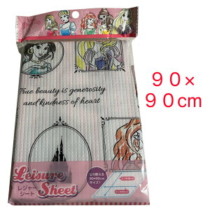 fBYj[ vZX W[V[g 90cm×90cm 4311 ` ~ V[g ObY LN^[ sN Vf  q LbY G AG WX~ x vcF I[