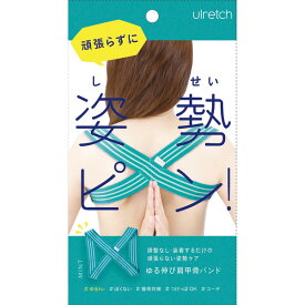 アルファックス 姿勢ベルト ゆるレッチ ゆる伸び肩甲骨バンド ミント 4528870625117 ストレッチ ダイエット 健康 姿勢 猫背 肩こり ギフト プレゼント 男性 女性 緑 グリーン