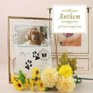 ybg ʐ^ ybg {i tHgt[  ybg tHgt[ L  AN ybg ʐ^ ObY ʐ^ v[g A a tHgX^h  y