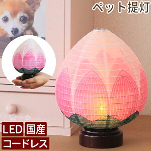 ybg ~ ~ R[hX ~傤 ~j~ ~ ~jTCY Y ybg ~ led R[hX w@ԁx ybg  V~   L ~ ybg AObY y