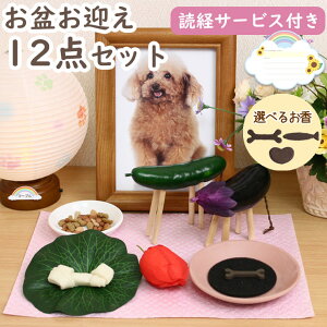 yN[|LzyǌoT[rXtz ybg ~ }Zbg n ybg ~Zbg Ό} 12_Zbg  ~ ybg ~  ~  ~ 傤  ˂ L n