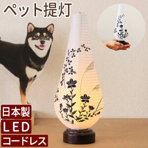 yԌz ybg ~ R[hX ~傤 ~j~ ~ ~jTCY Y ybg ~ led R[hX wj[x ybg  V~   lR ~  ybg 