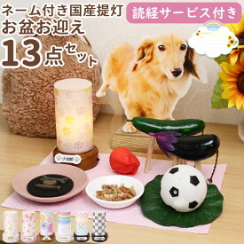 【読経サービス付き】ペット お盆 ちょうちん付 12点セット ネームプレート付 ペット 盆提灯 コードレス ペット仏具 円柱 盆提灯付 お盆お迎えセットお供え 犬 お盆 セット 猫 新盆 ペット 提灯 犬 お盆 ちょうちん お盆 迎え火 セット