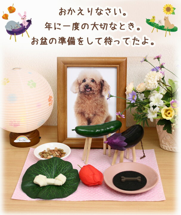 読経サービス付き ペット お盆 お迎えセット 精霊馬 ペット お盆セット 送り火迎え火 12点セット お供え 初盆 ペット お盆 お供え 初盆 犬 盆 ちょうちん 犬 ねこ 猫 ハムスター うさぎ 鳥 犬 お盆 セット ペット お盆飾り ペット仏壇仏具にじのかけ橋KOBE