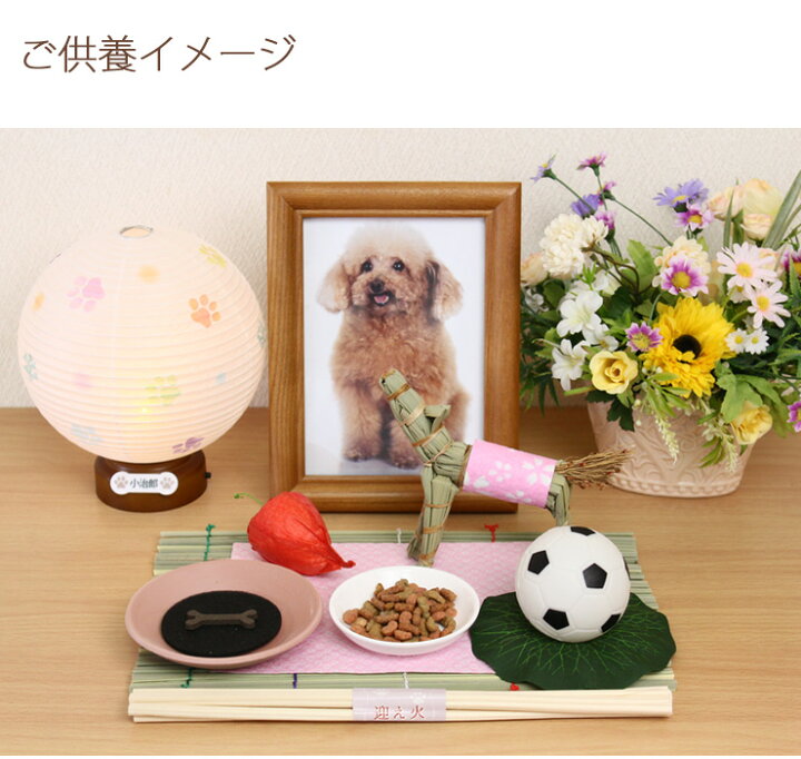 楽天市場 ペット お盆 お迎えセット 11点セット ペット お盆セット ペット 仏具 わんちゃん にゃんちゃん 送り火迎え火付お供え 初盆 ペット お盆 犬 盆 ちょうちん ペット供養 お供え物 ペット 犬 猫 ペット仏具 初盆 新盆 ペット 提灯 犬 お盆 セット お盆 迎え火 楽天市場 ペット お盆 お迎えセット 11点セット ペット お盆セット ペット 仏具 わんちゃん にゃんちゃん 送り火迎え火付お供え 初盆 ペット お盆 犬 盆 ちょうちん ペット供養 お供え物 ペット 犬 猫 ペット仏具 初盆 新盆 ペット 提灯 犬 お盆 セット お盆 迎え火