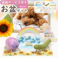 ペット お盆 お迎えセット ペット お盆セット ペット 仏具 精霊馬 【ミニセット】お供え 初盆 ペット お…