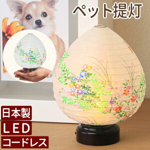 ybg ~ R[hX ~傤 ~j~ ~ ~jTCY Y ybg ~ led R[hX wԂ炵x ybg  V~   lR ~ ybg  ybg ~