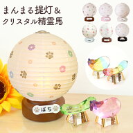 【クーポン有】 ペット お盆 ペット 盆提灯 精霊馬 ミニサイズ コードレス ペット 提灯 ネーム付 まんま…