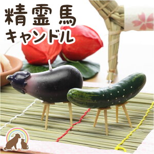 yԌz ybg ~ ybg  wnLhxiX イ Ȃ }  ybgd ybg ~@V~ [\N 낤   S 킢 ~ 