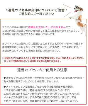 刻印入り遺骨ペンダント遺骨カプセルキーホルダー円柱タイプ選べる5色骨壷ネックレス遺骨遺灰分骨メモリアル形見ペット仏具かわいい犬猫遺骨カプセル
