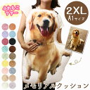【期間限定特価】 【クーポン有】ペット メモリアルグッズ クッション オーダーメイド クッション2XL (A1) ペット供養…