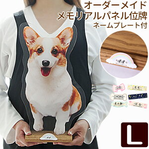 yN[|Lz ybg ʔv I[_[Ch AplL l[v[gt ybg ybgʔv Ov[g ʐ^ ybg{@蕨   킢 ʔv ybg 