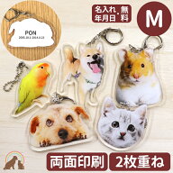 【クーポン有】 ペット メモリアルグッズ オーダーメイド うちの子 キーホルダー 二枚重ねペット メモリ…