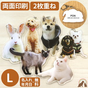 ybg AObY ybg I[_[Ch ̎q L[z_[ LTCY 񖇏dˍ\ ybg A L[z_[ ʐ^ ybg  IWi 킢 ybg{  L A