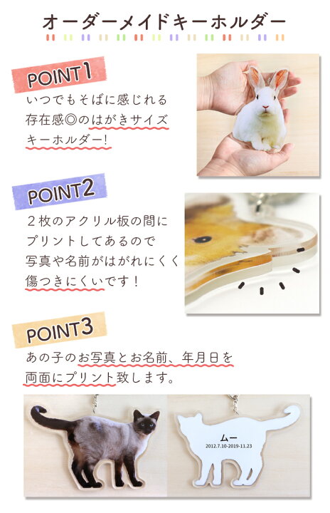 楽天市場】ペット メモリアルグッズ ペット オーダーメイド うちの子 