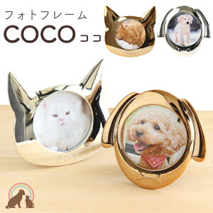 ybg ʐ^ ^tHgt[ COCO  ybg ybgd  ybg   킢 ~ ފ  ʔv  { ybg { ObY