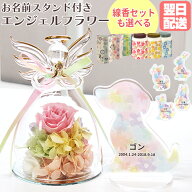 ペット お供え 花 ペット お悔やみ 花 ペット お供え 花 即日 エンジェル ガラス ドーム プリザーブドフ…