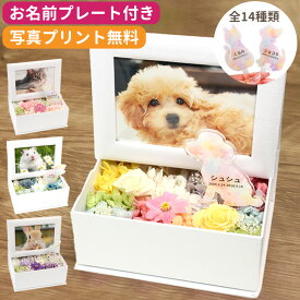 【写真プリントサービス無料】ペット お供え 花 ペット お悔やみ 花 プリザーブドフラワー お名前プレート 名入れ メッセージペット お悔やみ 花 プリザーブドフラワー ペット お供え 犬 お供え 猫 お供え お供え 贈り物 ペット供養