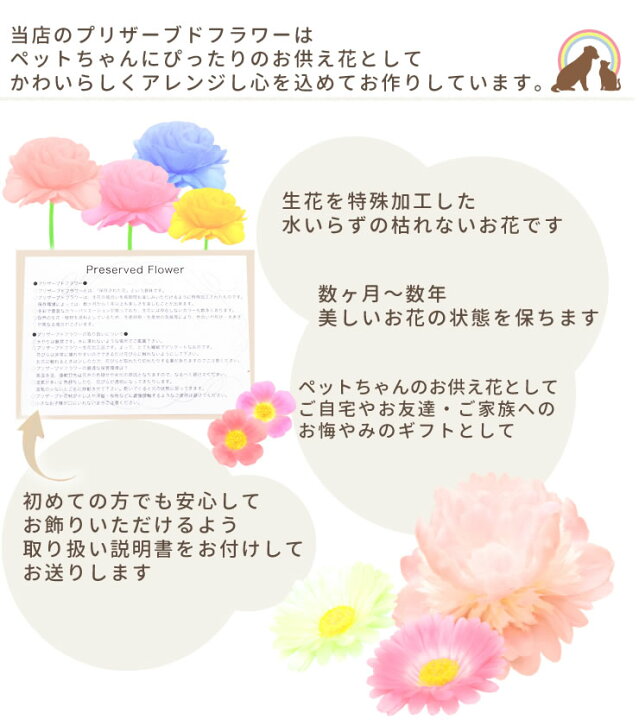 楽天市場 ペット お供え ペット 仏具 プリザーブドフラワースウィートブリザーブド 小さい ミニ お花 ペット 仏壇 ペット仏壇 祭壇 犬 猫 菊 お供え お悔やみ ギフト かわいい 鳥 ハムスター うさぎ お盆 お彼岸 命日 仏花 ペット仏壇仏具にじのかけ橋kobe