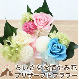 楽天市場 お盆 花 ペット ペットグッズ の通販