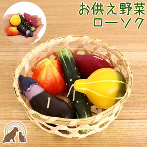 盆 ほおずきの通販 価格比較 価格 Com 盆 ほおずきの通販 価格比較 価格 Com