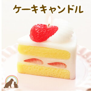 ケーキ ろうそく 犬用品の人気商品 通販 価格比較 価格 Com