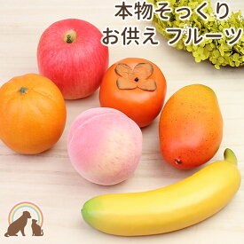 楽天市場 柿 ペット ペットグッズ の通販