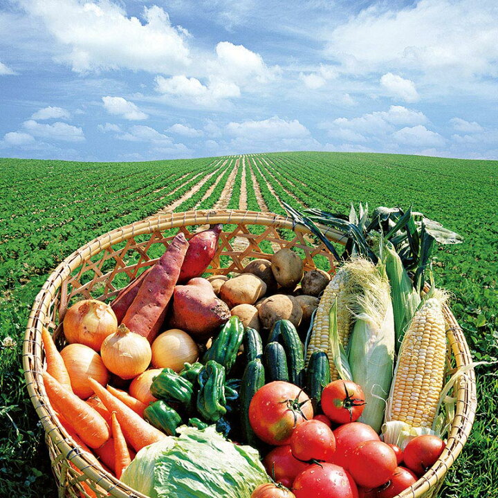 楽天市場 千葉県産 旬の有機野菜セット 商品引換券 あす楽 二次会 景品 ビンゴ 目録 ボウリング大会 結婚式二次会 二次会景品 結婚式 ゴルフ景品 ゴルフコンペ 結婚式二次会景品 ビンゴ景品 2次会 家電 コンペ 宴会 単品 イベント コンペ景品 ビンゴの景品