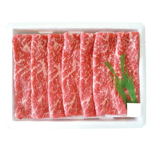 {Y {錧Y āyizyyz | 񎟉 ii rS ژ^ {EO 񎟉 񎟉ii  Stii StRy 񎟉ii rSi