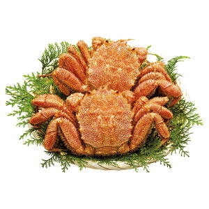 kCY{Cт 400g×2yizy[izyz