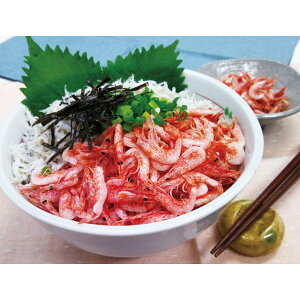 É uΌYv x͘pY g&炷Zbgyizy[iz