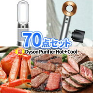 ダイソン 景品 70点 セット Dyson 空気清浄機 ヘアドライヤー | 二次会 忘年会 景品 目録 パネル セット …