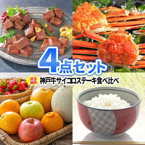 ii 4_ Zbg _ˋ {C킢 t[c  i ژ^ pl | 񎟉 ii YN ii rS Zbg ژ^ {EO 񎟉 ii  Stii S