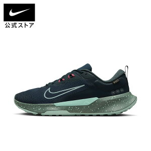 �i�C�L �W���j�p�[ �g���C�� 2 GORE-TEX �����Y �h�� �g���C�� �����j���O�V���[�Y NIKE �����Y �g���C�������j���O�V���[�Y �A�E�g�h�A �L�����v �h���� 24cm-32cm HM9734-302 HO25