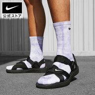 ナイキ ACG エア DESCHUTZ+ NIKE メンズ サンダル スポーツサンダル スポサン Air 防水性 プール 海 川 …