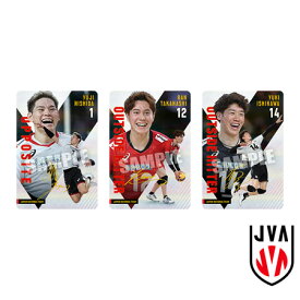 （予約）JAPAN NATIONAL VOLLEYBALL TEAM ツインウエハース 2025 （食玩） BOX 2025年10月発売予定