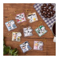 （予約）PEANUTS -SNOOPY- パッケージチャーム&チョコボーロ （食玩） BOX【常温発送】 2026年10月発売予定